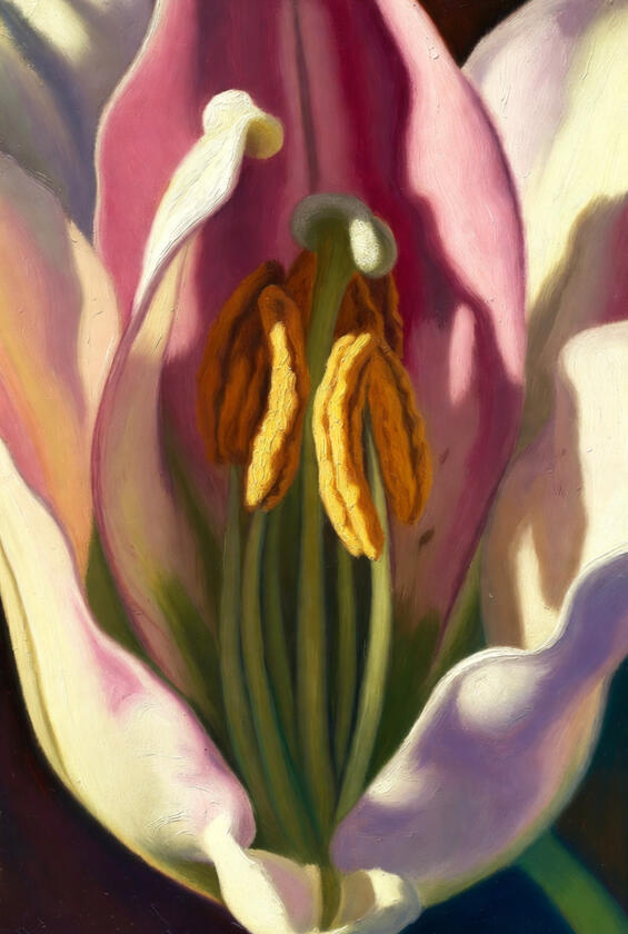 Untitled Untitled